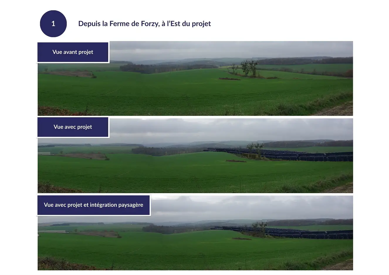 forzy-photomontages-01